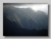 Mokuleia Forest Reserve_2013